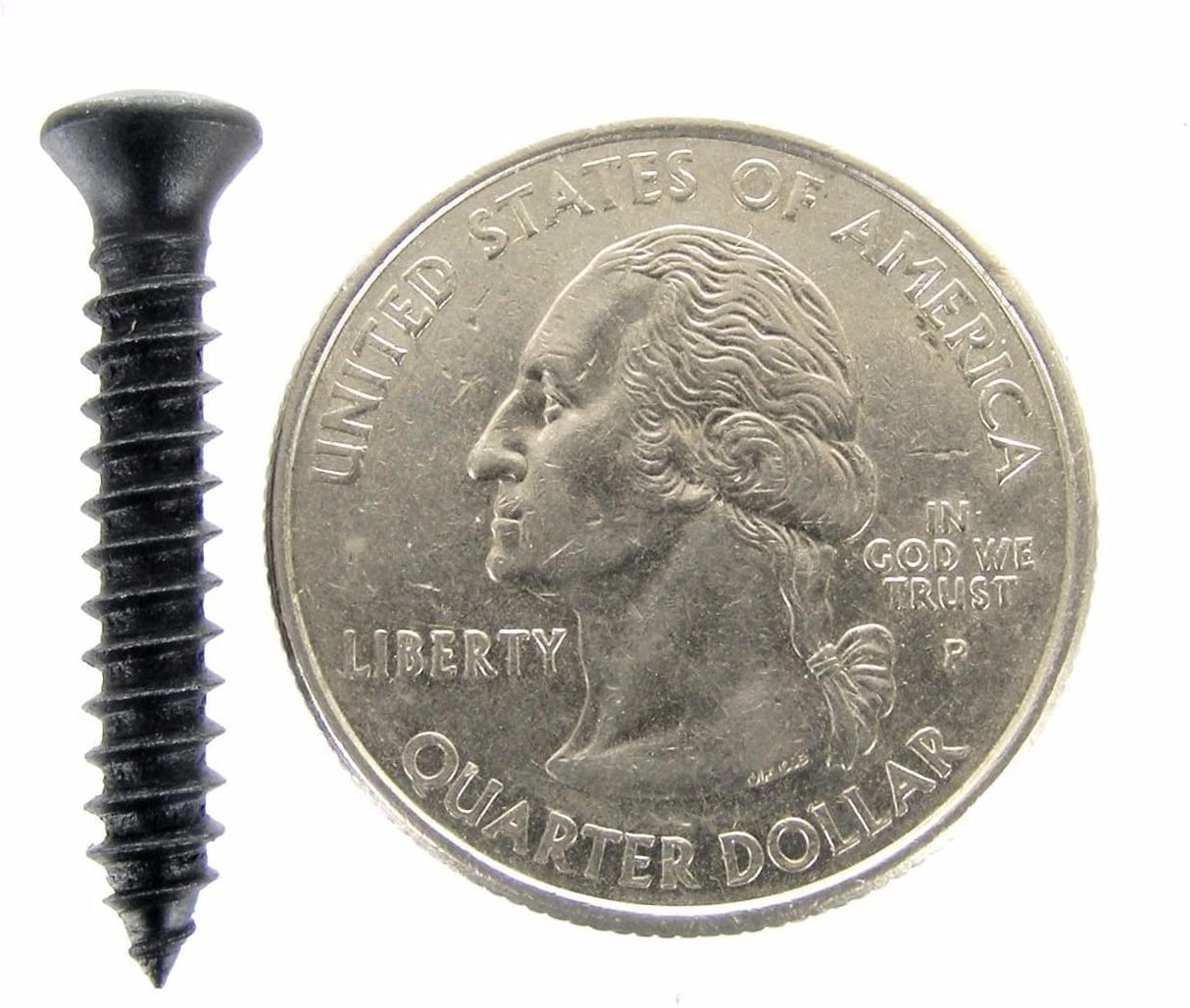 Black #8 x 1" Phillips Oval Head Trim Screws #6 Head (Qty-25) #2012