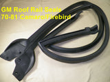 70-81 Camaro Firebird Roof Rail Weatherstrip Seals 2 DR Hardtop Models #1524