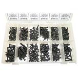 Phillips Pan Head Sheet Metal Screw Assortment 12 Sizes (420 Pcs) #1621