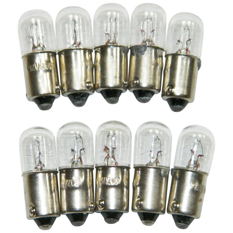 Miniature Bulbs #1891 (10 Pack) #36