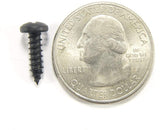 #6 x 1/2" Phillips Pan Head Black Trim Screws (Qty-25) #1988