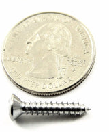 #6 x 3/4" Phillips Oval Head Chrome Trim Screws (Qty-25) #2007