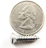 #10 x 3/4 Phillips Oval Head Chrome Trim Screws #8 Head (Qty-25) #2045