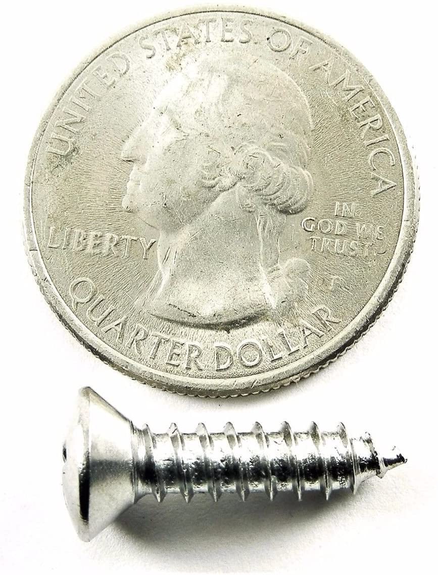 #10 x 3/4" Phillips Oval Head Chrome Trim Screws #10 Head (Qty-25) #2055