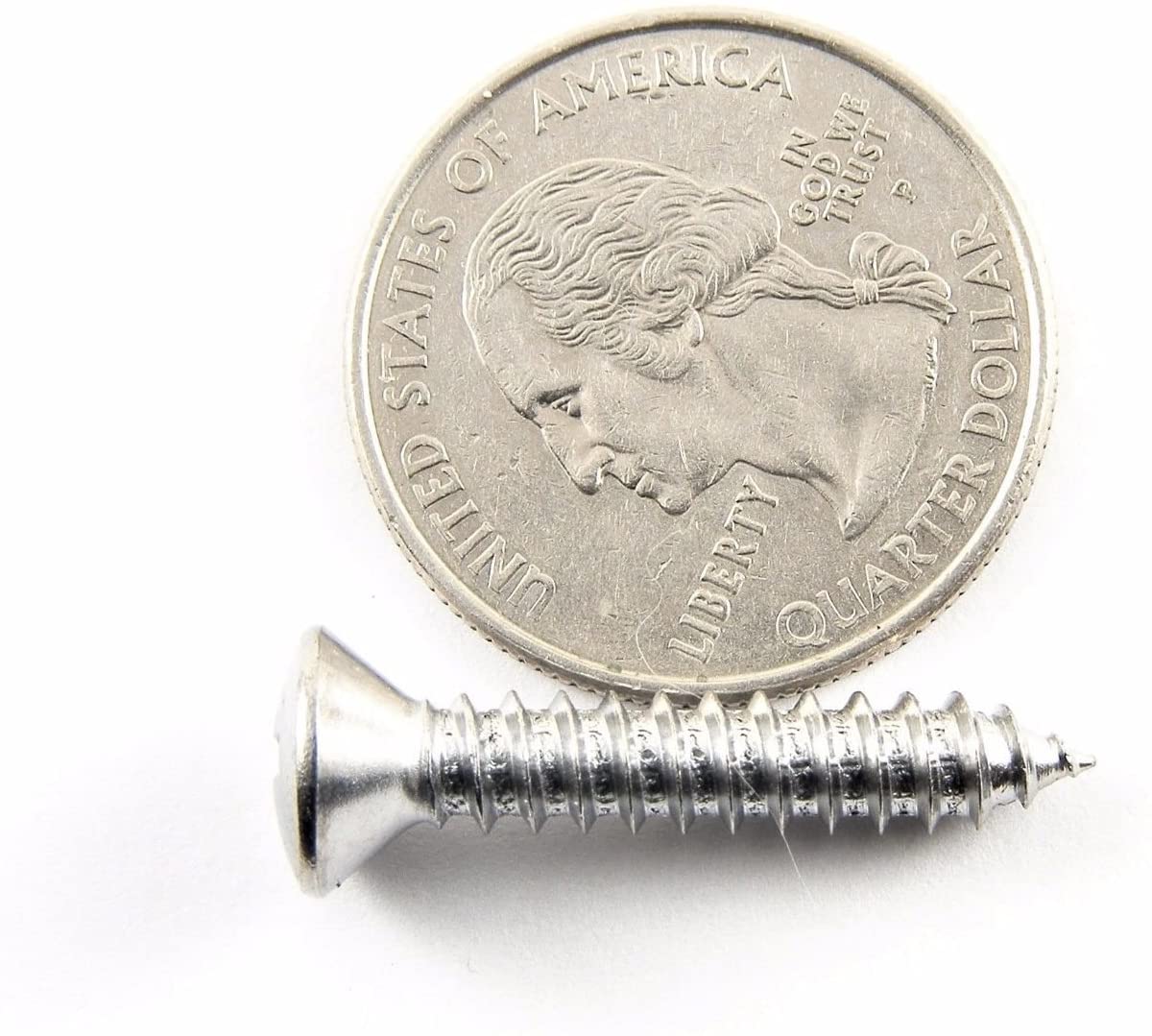 #10 x 1" Phillips Oval Head Chrome Trim Screws #10 Head (Qty-25) #2056