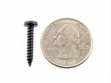 Black #6 Phillips Pan Head Trim Screws- 1/2" to 1-1/4" Long- #2070 (1988-1991)