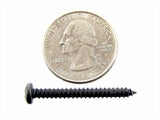 Black #6 Phillips Pan Head Trim Screws- 1/2" to 1-1/4" Long- #2070 (1988-1991)