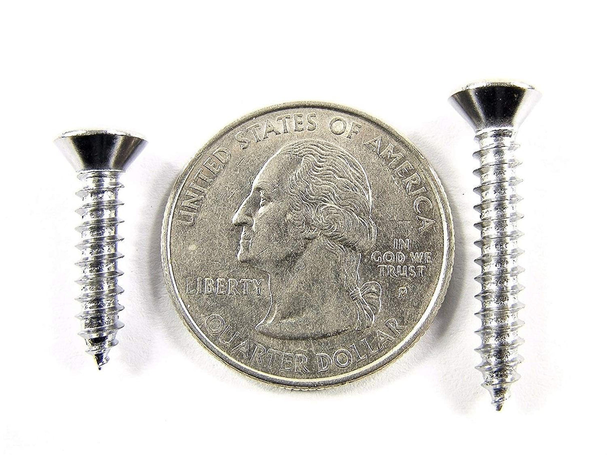 Chrome #8 Phillips Oval Head Trim Screws- 3/8" to 1" Long- 100 Screws- #2080 (2027-2028-2029-2030)