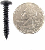 #10 Phillips Pan Head Black Screws- 1" to 1-1/2" Long- Qty 75-#2100 (1999-2001)