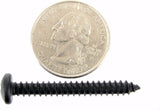 #10 Phillips Pan Head Black Screws- 1" to 1-1/2" Long- Qty 75-#2100 (1999-2001)