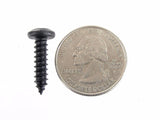 #10 Phillips Pan Head Black Screws- 1/2" to 1-1/2" Long- Qty 125-#2101 (1997-2001)