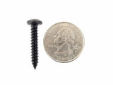 #10 Phillips Pan Head Black Screws- 1/2" to 1-1/2" Long- Qty 125-#2101 (1997-2001)