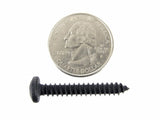 #10 Phillips Pan Head Black Screws- 1/2" to 1-1/2" Long- Qty 125-#2101 (1997-2001)