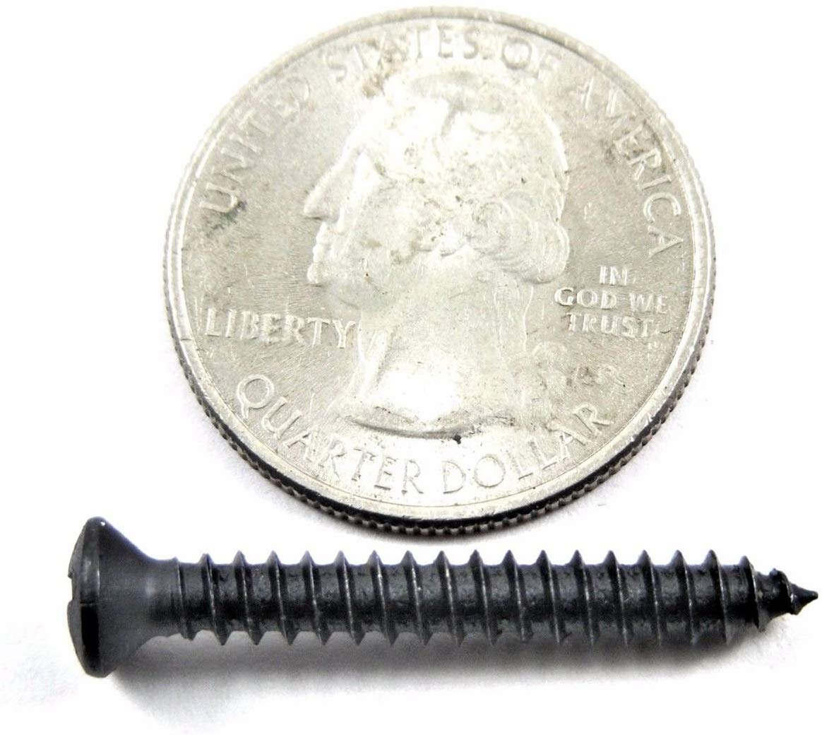 Phillips Oval Head Trim Screws #8 x 1" to 1-1/2" Long Qty-75 (2012-2014) #2103