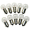 Bulbs
