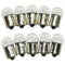 Bulbs